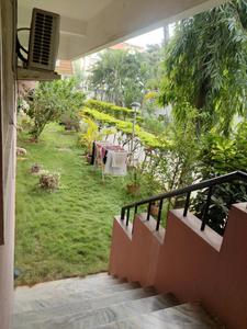 Living Room Image of 1256 Sq.ft 2 BHK Apartment / Flat for rent in Gem Regency, Koramangala Bengaluru for Rs. 75000