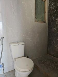 Common Bathroom Image of 950 Sq.ft 2 BHK Apartment / Flat for sale in Ravinanda Sky Water, Wagholi Pune for Rs. 4500000
