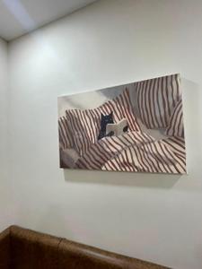 Bedroom Image of 850 Sq.ft 1 BHK Apartment / Flat for rent in Scheme 78 Indore for Rs. 20000