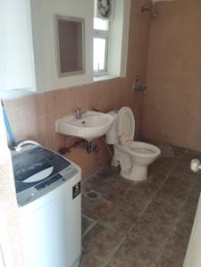 Bathroom Image of 953 Sq.ft 2 BHK Apartment / Flat for rent in Jaypee Aman, Sector 151 Noida for Rs. 23000