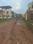 New Royal Enclave Internal Roads 1