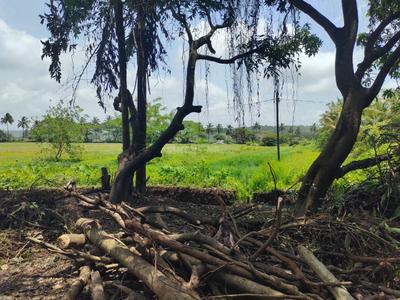 Image of 1825 Sq.ft Residential Plot / Land for sale in Socorro, Goa for Rs. 91200000