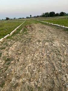 Image of 100 Sq.ft Residential Plot / Land for sale in Jewar, Greater Noida for Rs. 1000000