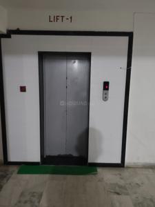 Bedroom Image of 1250 Sq.ft 2 BHK Apartment / Flat for rent in Piska More Ranchi for Rs. 15000