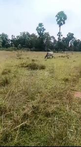 Image of 45000 Sq.ft Residential Plot / Land for sale in Athmallik, Angul for Rs. 2500000