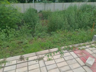 ROF Insignia Park Plots Plot View 2