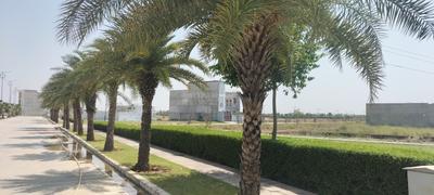 Image of 1250 Sq.ft 2 BHK Independent House for sale in Kisan Path, Lucknow for Rs. 5500000
