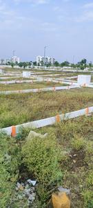 Bothali Plot View 2