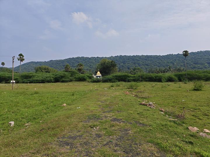 Singaperumal Koil Main Image 1