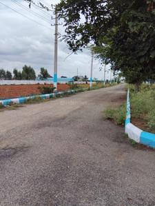 Residential Plot