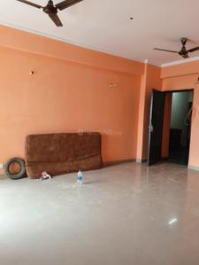 Hall Image of 1500 Sq.ft 3 BHK Apartment / Flat for rent in Amrapali Castle, Chi V Greater Noida for Rs. 21000