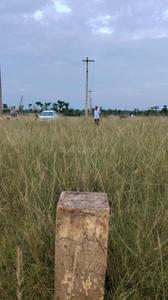 Image of 200 Sq.ft Residential Plot / Land for sale in Koduru, Vizianagaram for Rs. 3250000