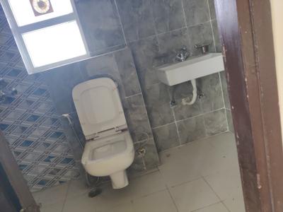 Image of 940 Sq.ft 2 BHK Apartment / Flat for rent in Sikka Kaamna Greens, Sector 143, Noida for Rs. 26000