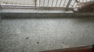 Image of 1800 Sq.ft 3 BHK Builder Floor for rent in Safdarjung Enclave, New Delhi for Rs. 160000