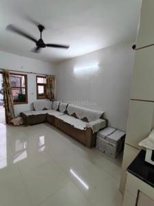 Living Room Image of 1125 Sq.ft 2 BHK Builder Floor for rent in Naraina New Delhi for Rs. 38000