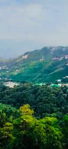 Bhatta Gaon Plot View 3