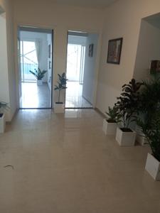 Hall Image of 910 Sq.ft 2 BHK Apartment / Flat for sale in Shree Rosewood Park, Wagholi Pune for Rs. 5800000