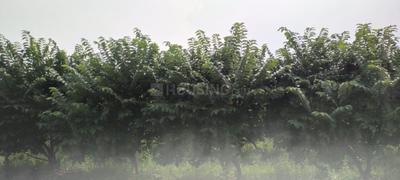 Image of 10000 Sq.ft Residential Plot / Land for sale in Rahatgaon, Amravati for Rs. 27700000