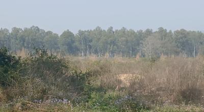 Image of 136200 Sq.ft Residential Plot / Land for sale in Ramnagar, Nainital for Rs. 80000000