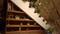 Mulanthuruthy Balcony 1