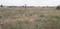 Mathigiri Plot View 2