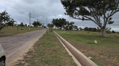 Bhugatahally Plot View 3