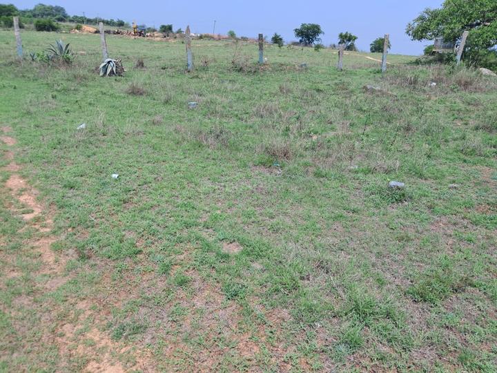 Bharathi Nagar, Mookandapalli Main Image 1