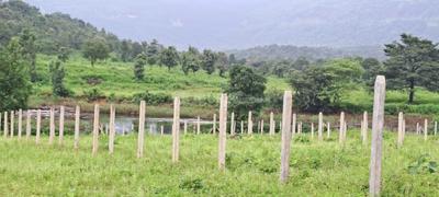 Image of 4750 Sq.ft Residential Plot / Land for sale in Karjat, Thane for Rs. 6445250
