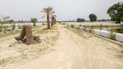 Image of 1000 Sq.ft Residential Plot / Land for sale in Dev Puri, Narona, Lucknow for Rs. 1251000