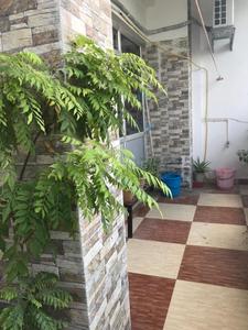 Balcony Image of 2000 Sq.ft 2 BHK Builder Floor for rent in Gomti Nagar Lucknow for Rs. 22000