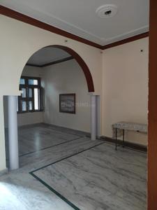 Hall Image of 1440 Sq.ft 2.5 BHK Builder Floor for rent in Urban Estate II Hisar for Rs. 16000