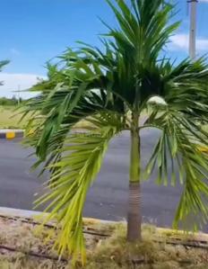 Image of 219 Sq.ft Residential Plot / Land for sale in Iconic Metro County, Tukkuguda, Hyderabad for Rs. 5475000