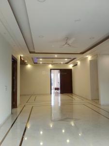 Hall Image of 3000 Sq.ft 4 BHK Builder Floor for sale in DLF Phase 2, DLF Phase 2 Gurgaon for Rs. 60000000