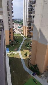 Image of 450 Sq.ft 1 BHK Apartment / Flat for rent in ROF Amaltas, Sector 92, Gurgaon for Rs. 13000