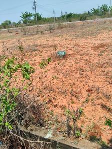 Image of 1200 Sq.ft Residential Plot / Land for sale in Jayapura, Mysore for Rs. 2400000