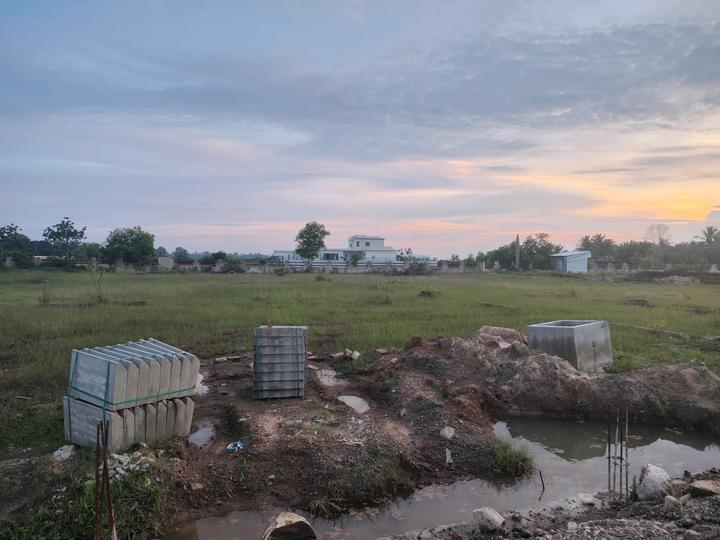 Pattipulam Main Image 1