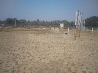 Mohanlalganj Plot View 3