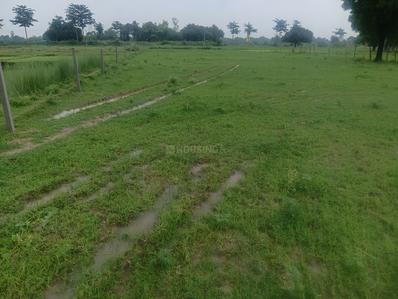 Image of 31725 Sq.ft Residential Plot / Land for sale in Chhataripur, Varanasi for Rs. 16500000