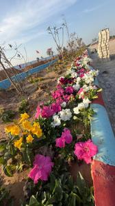 Image of 100 Sq.ft Residential Plot / Land for sale in Jharna, Jaipur for Rs. 1380000