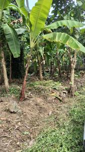 Image of 220 Sq.ft Residential Plot / Land for sale in Kaipadi, Thiruvananthapuram for Rs. 2500000