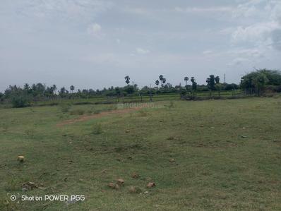 Pavendar Salai Plot View 2
