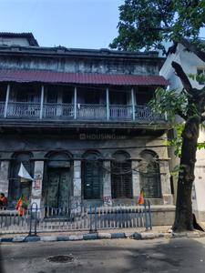 Janbazar Plot View 2