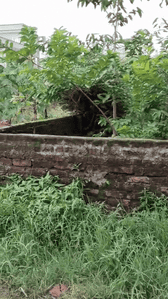 Image of 435 Sq.ft Residential Plot / Land for sale in Pandra, Ranchi for Rs. 2100000