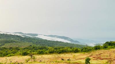 Image of 20000 Sq.ft Residential Plot / Land for sale in Murud, Raigad for Rs. 3000000