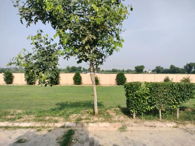Image of 1053 Sq.ft Residential Plot / Land for sale in Adore Smart City 2, Tajupur, Faridabad for Rs. 12000000