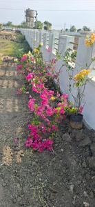 Image of 145 Sq.ft Residential Plot / Land for sale in Mulapadu, Vijayawada for Rs. 2465000