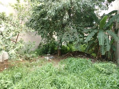 Karuna Kunj Plot View 3