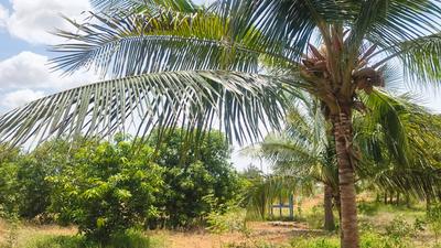 Image of 50097 Sq.ft Residential Plot / Land for sale in Tharuvai, Tirunelveli for Rs. 10000000