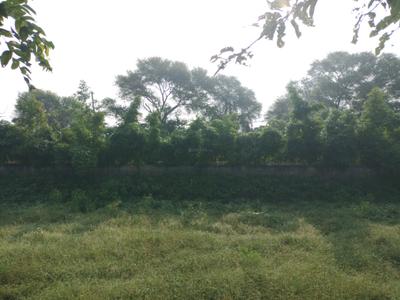 Image of 1152 Sq.ft Residential Plot / Land for sale in Omaxe City, Tajupur, Faridabad for Rs. 17300000