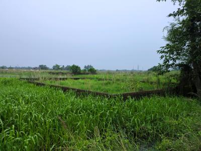 Image of 720 Sq.ft Residential Plot / Land for sale in Wander Valley, Joka, Kolkata for Rs. 250111